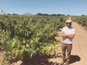 winemaker standing in a vineyard
