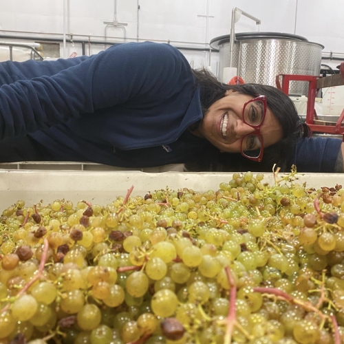 winemaker laying on white grapes.